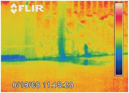 Business thermal imaging video systems